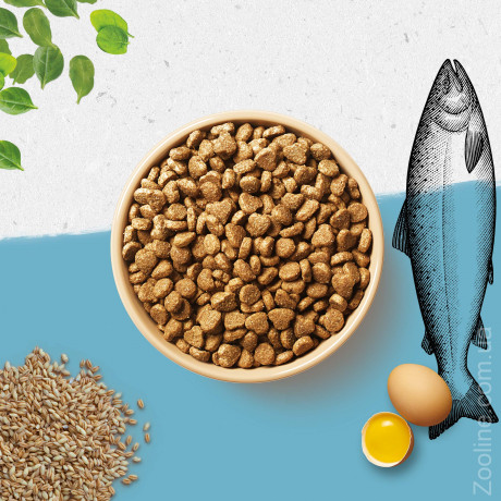 Purina BEYOND с содержанием лосося и цельнозернового ячменя 350г Сухой полнорационный корм для котов
