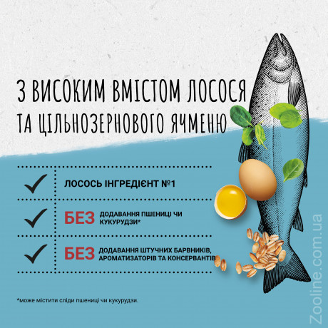 Purina BEYOND с содержанием лосося и цельнозернового ячменя 350г Сухой полнорационный корм для котов